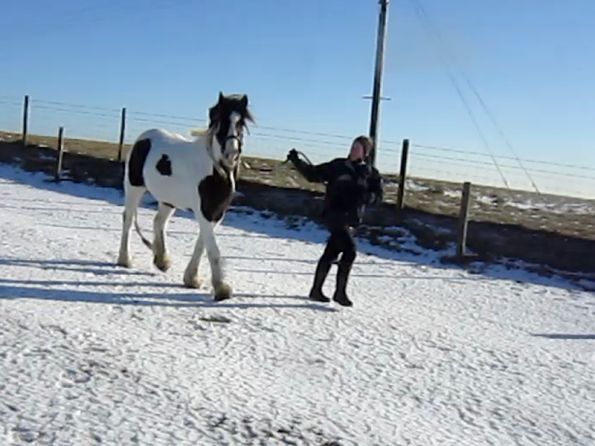 Lance leading video (3)