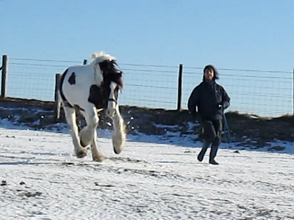 Lance lunatic video (10)