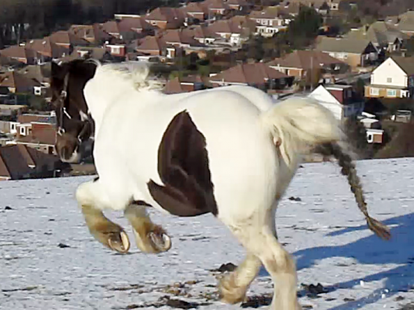 Lance lunatic video (11)