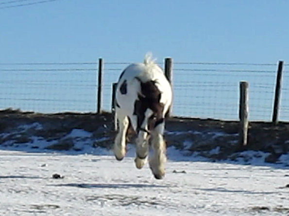 Lance lunatic video (12)