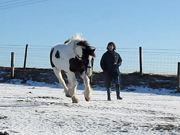 Lance lunatic video (13)