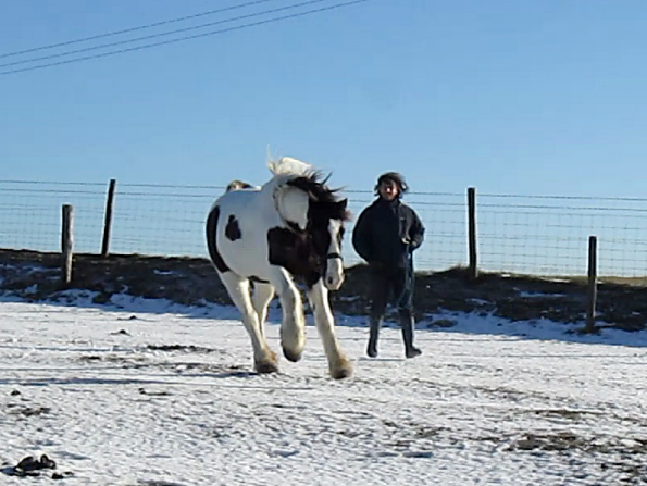 Lance lunatic video (2)