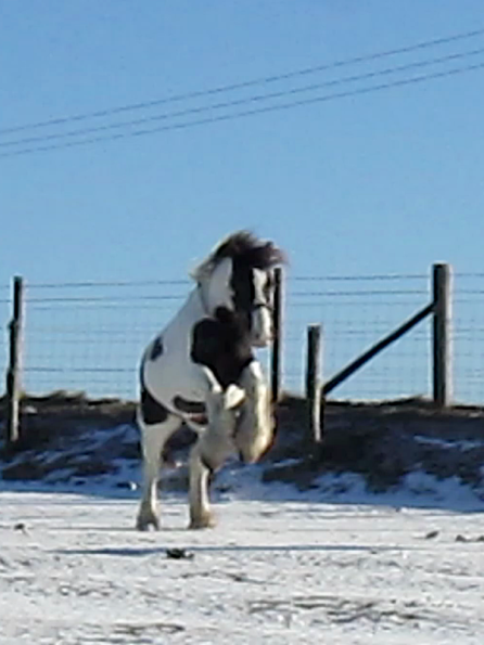 Lance lunatic video (3)