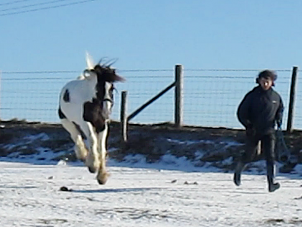 Lance lunatic video (4)