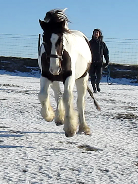 Lance lunatic video (5)