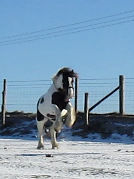 Lance lunatic video (6)