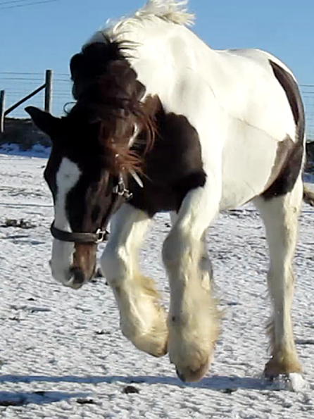 Lance lunatic video (8)