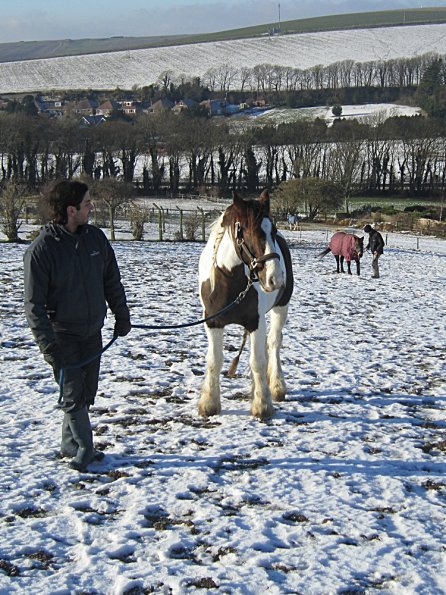 Walking up the field (10)