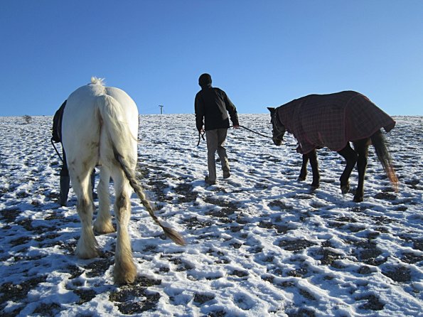 Walking up the field (2)