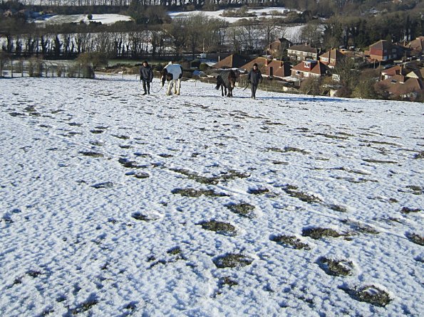 Walking up the field (3)