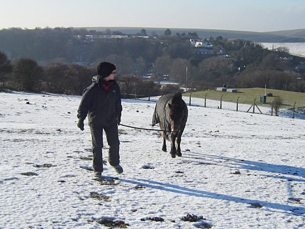 Walking up the field (4)