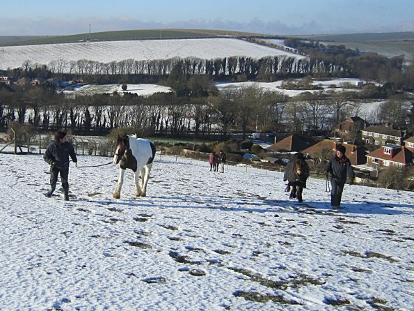 Walking up the field (5)