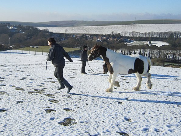 Walking up the field (6)