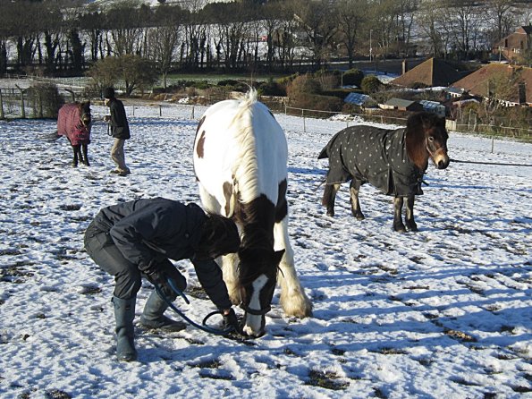Walking up the field (7)