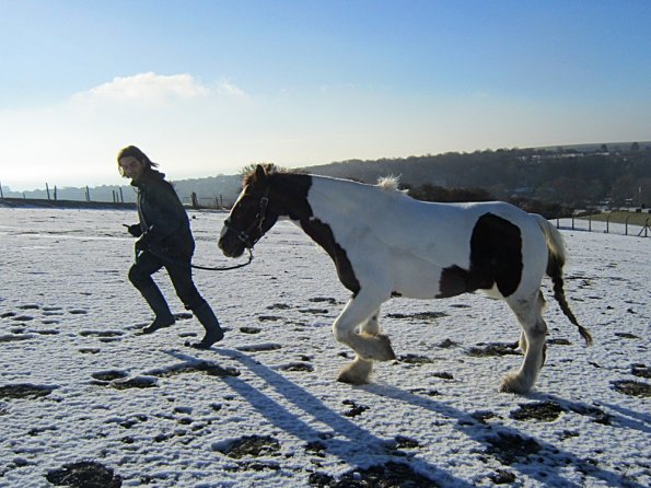 Walking up the field (8)