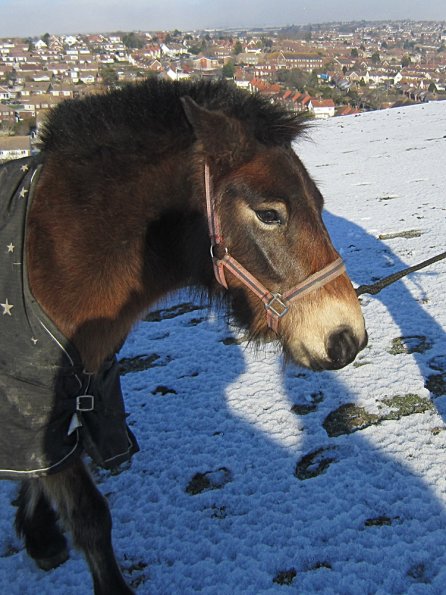 Walking up the field