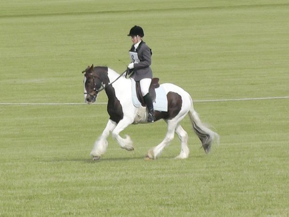 Canter comp Dressage