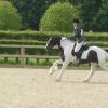Canter comp SJ