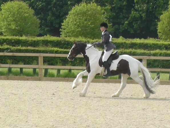 Canter comp SJ