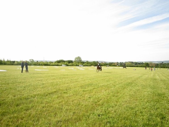 Dressage setup