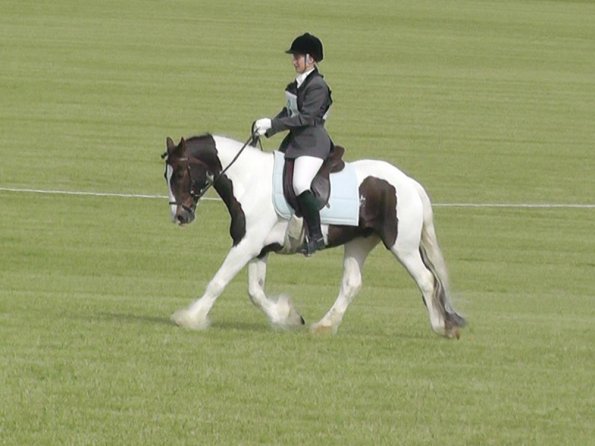 Dressage warming up (2)