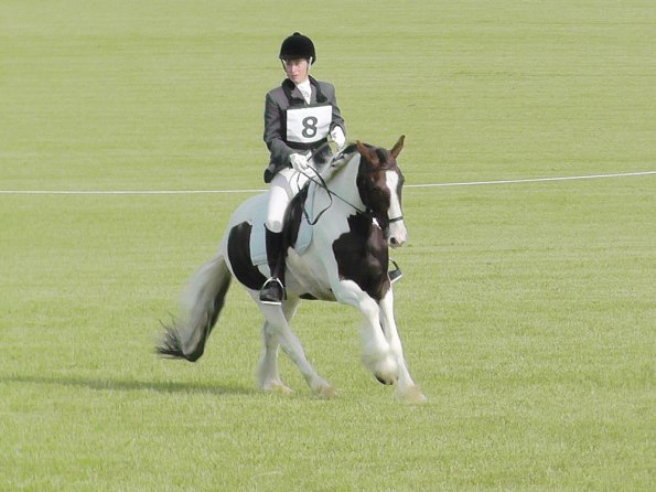 Lance Dressage (3)