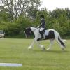 Lance Dressage (5)