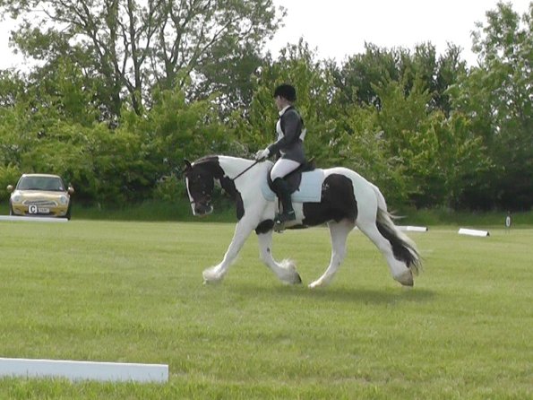 Lance Dressage (5)