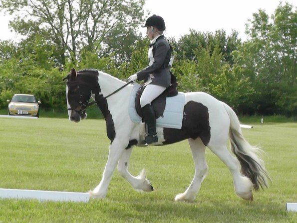 Lance Dressage (6)