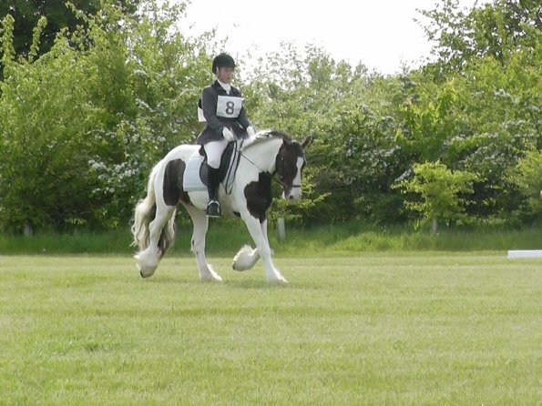 Lance Dressage
