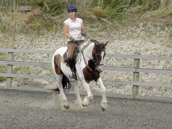 Anna and Lance warming up (2)