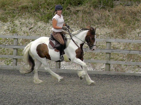 Anna and Lance warming up (3)