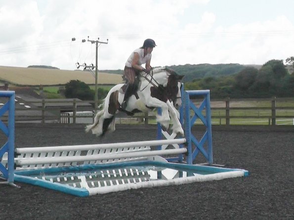 Lance water tray (2)