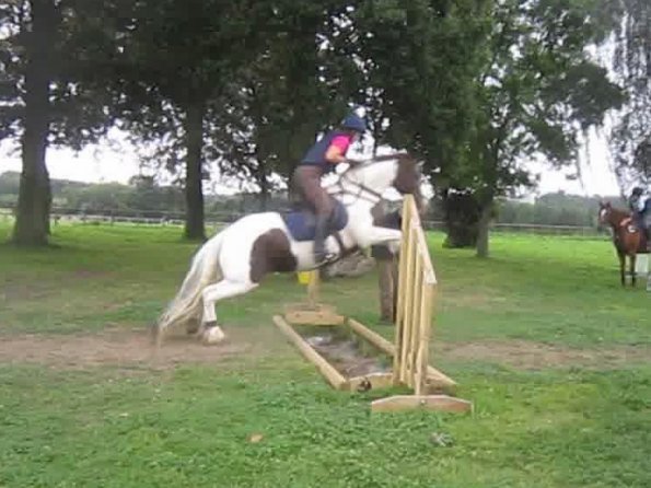 vlcsnap-2012-09-02-19h21m05s212