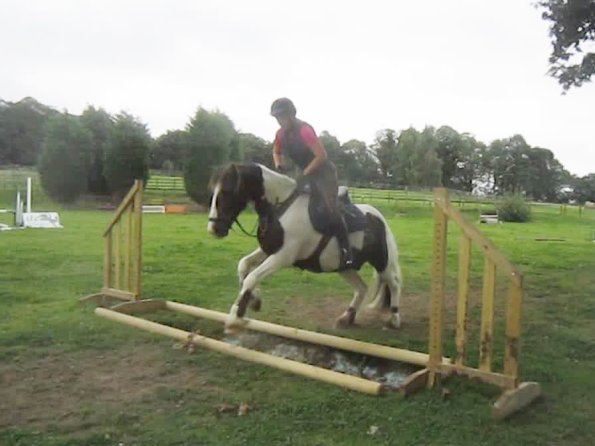 vlcsnap-2012-09-02-19h21m20s134