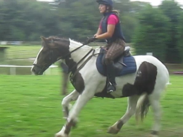 vlcsnap-2012-09-02-19h22m55s60