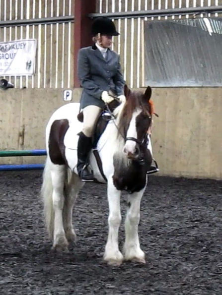 vlcsnap-2010-11-07-18h58m05s105