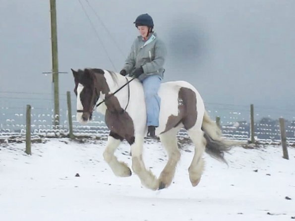 Anna and Lance cantering (3)