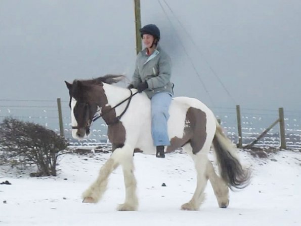 Anna and Lance cantering (4)