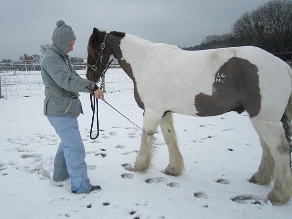 Practising bowing (10)