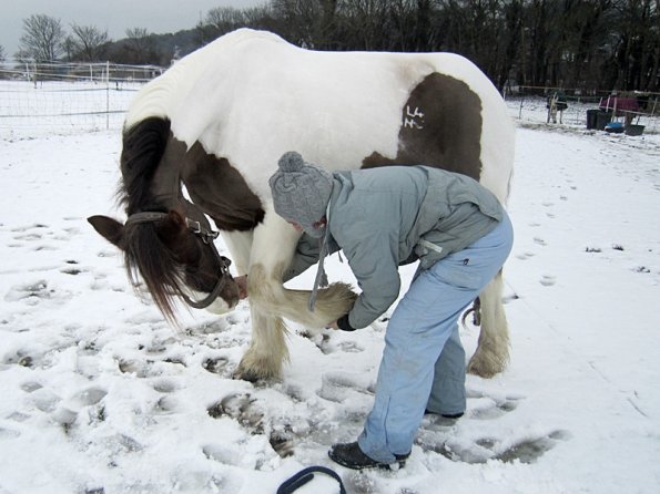 Practising bowing (11)
