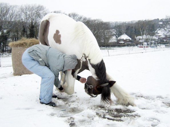 Practising bowing (12)