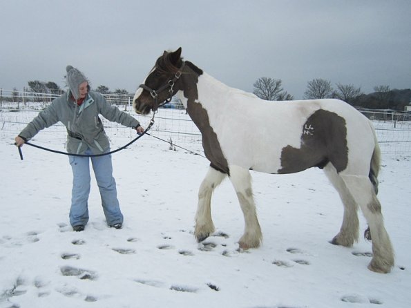 Practising bowing (13)