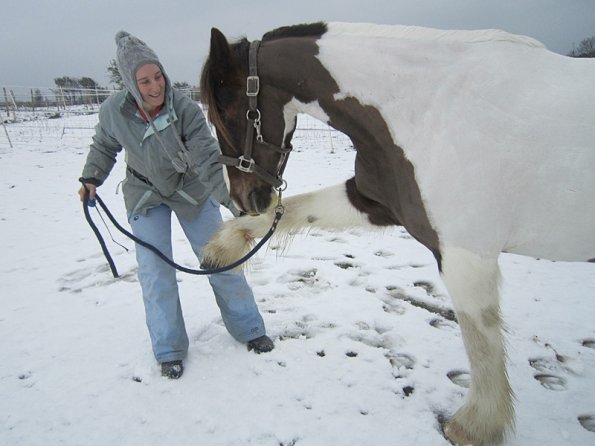 Practising bowing (14)