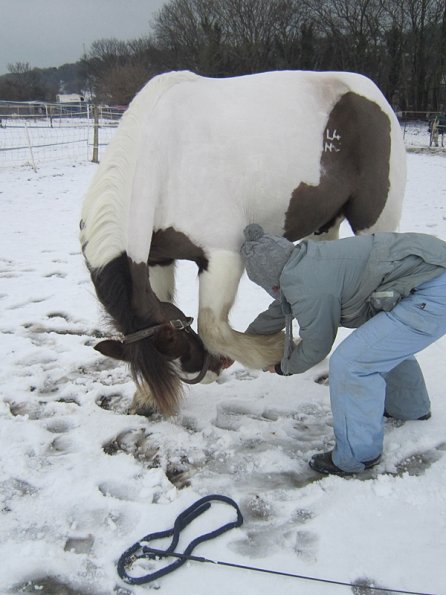 Practising bowing (15)