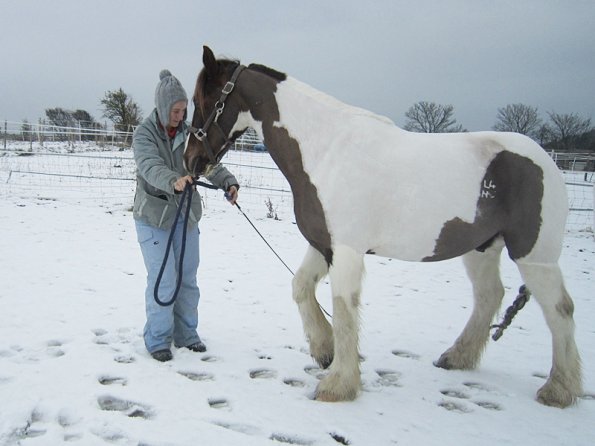 Practising bowing (2)