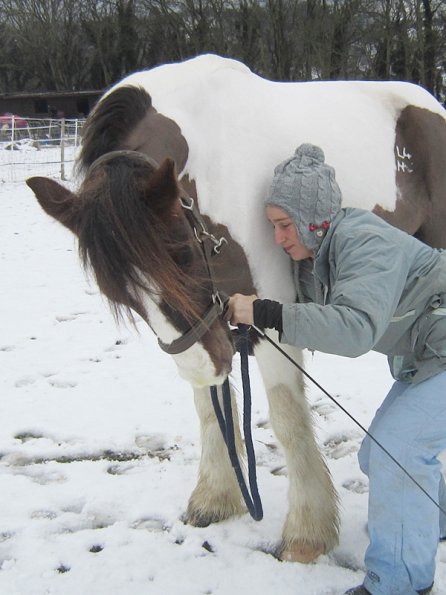Practising bowing (3)