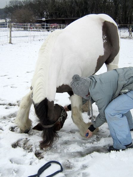 Practising bowing (4)