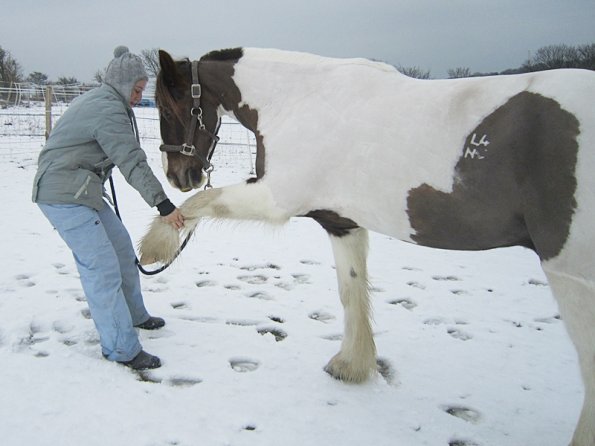 Practising bowing (5)