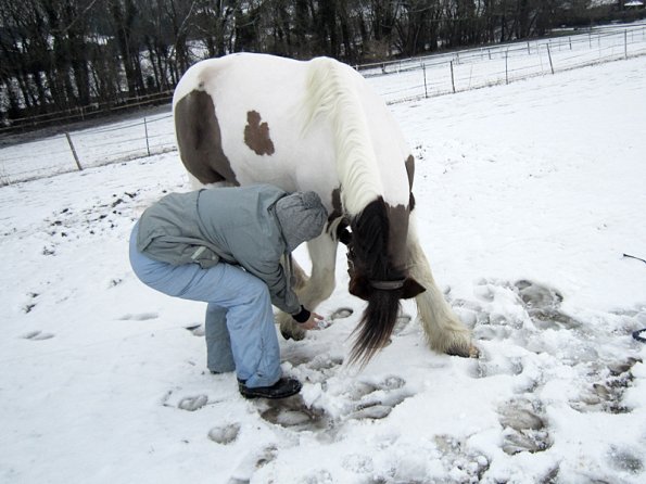 Practising bowing (7)